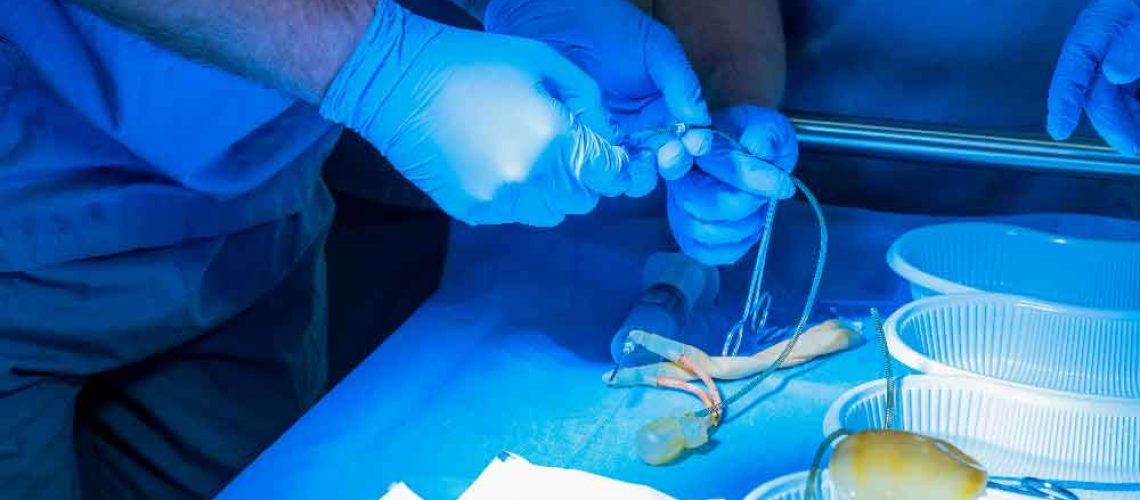 uro-Inflatable_penile_implant-bloc